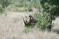 0244-Reis Zuid-Afrika2007